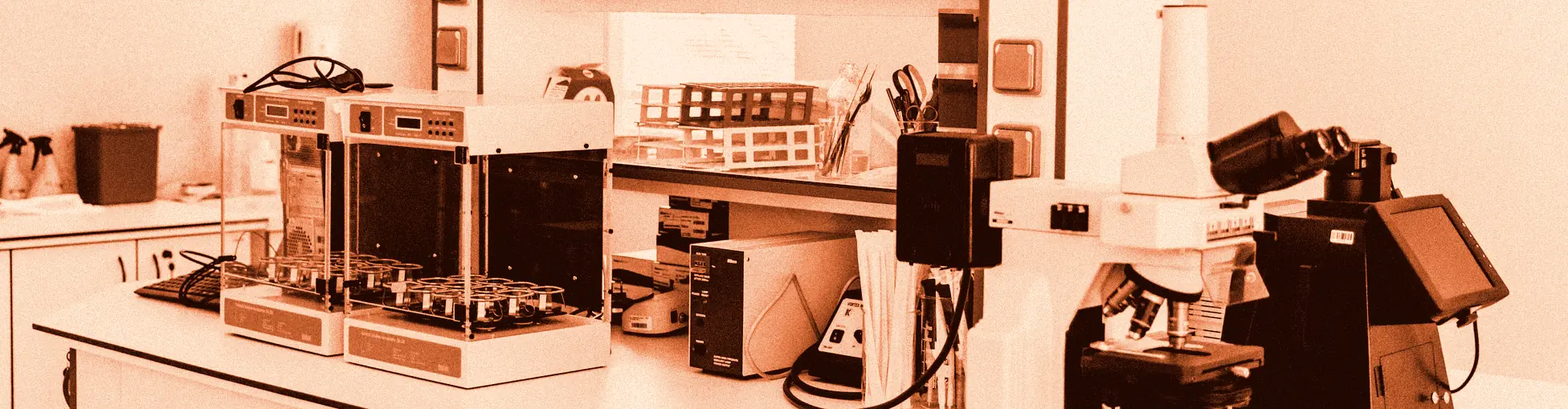 A laboratory bench with two incubators, tube racks, instruments and a microscope under a shelf of media bottles.